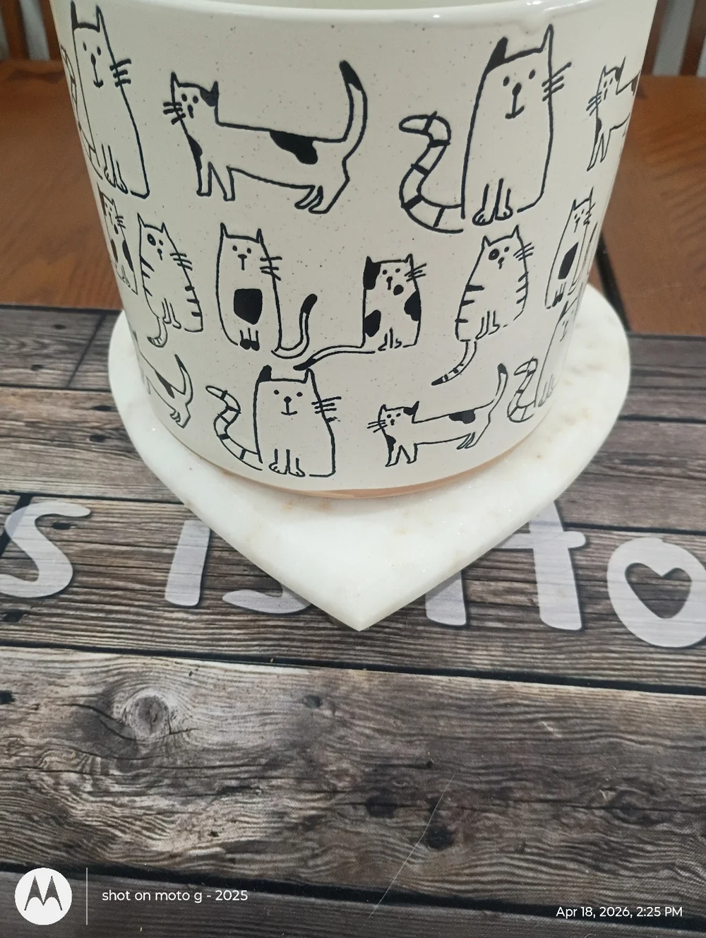 Cat planter All Over Print - Picture 5 of 10